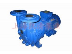 2BV型水環式真空泵