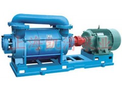 2SK型水環式真空泵