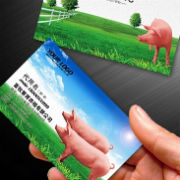 榮昌縣燕子坪養(yǎng)豬專業(yè)合作社