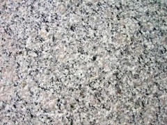 珍珠花路邊石批發