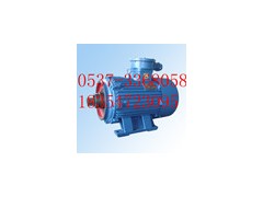 濟(jì)寧國龍正品YBJ55-4型電機(jī)