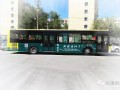 絲路秀公交廣告上線  近百輛公交車穿梭大街