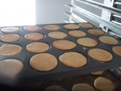 臨淄瀚浩桃酥機最新批發價格