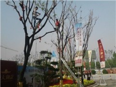 西安市節慶裝飾|西安市節慶裝飾策劃|西安市節慶裝飾策劃公司|金城供