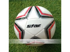 4號(hào)足球定做 定制PVC足球 加工4號(hào)足球 健馳供