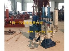 豆瓣醬泵直銷/上海中石泵業(yè)供/高品質(zhì)的豆瓣醬泵供應(yīng)