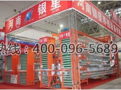 4層階梯式立式集蛋機_周口4層集蛋機廠家價格_銀星供