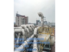 山西有機廢氣處理廠家 山西有機廢氣處理 軒昊供