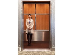 乘客電梯生產廠家 默頓供 專業細致的乘客電梯生產廠家