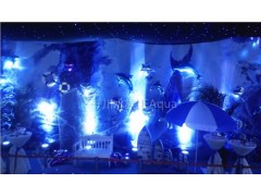 享受更專業的海洋展會服務，上海一川水族是您的理想合作伙伴。