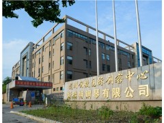 全國鋼琴排名 杭州優質鋼琴廠 鋼琴哪個牌子好 嘉德威供