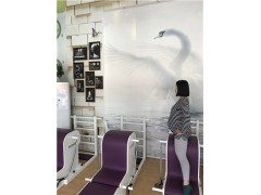 泉州普拉提好嗎 泉州哪有普拉提康復(fù)中心 泉州普拉提健身器材