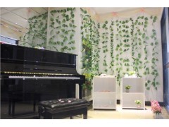 武漢成人鋼琴 成人鋼琴品牌 成人鋼琴廠家直銷 嘉德威供