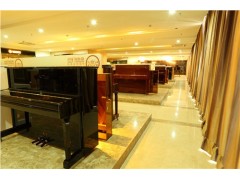 長沙少兒鋼琴 少兒鋼琴價格 少兒鋼琴品牌哪個好 嘉德威供