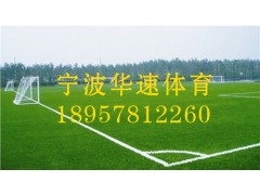 草坪足球場*草坪足球場建設*草坪足球場施工*寧波華速