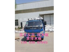 （耐植物穿刺屋面種植排水板）黑色排水板+無紡布6/平方