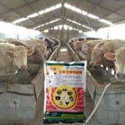 洮南市二龍鄉(xiāng)新億農(nóng)養(yǎng)豬專業(yè)合作社