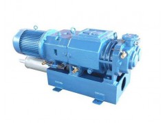 螺桿真空泵哪家好