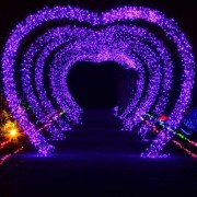 重慶彩燈亮化工程有限公司