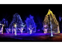 重慶彩燈安裝亮化工程公司大量接單中，價格實惠