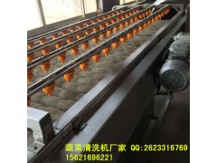 畢節蘿卜清洗機 毛刷式蘿卜清洗機報價