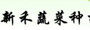 隨州嫁接西瓜苗 京欣西瓜苗廠家品牌
