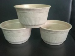 秸稈生態(tài)全降解餐具及包裝制品流水線網(wǎng)上展