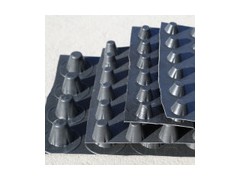 【湛江聚乙烯2公分排水板排水板站長推薦】價格,廠家