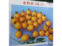 遼源蔬菜番茄苗品種_批發(fā)硬粉西紅柿苗