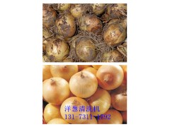 長春白蘿卜清洗機 蘿卜清洗機廠家