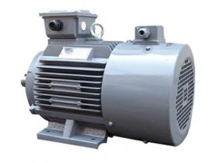 調(diào)速電機(jī)的工作原理