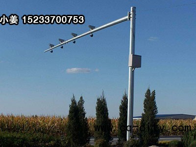 朔州監控立桿價格,朔州小區監控桿廠家直銷