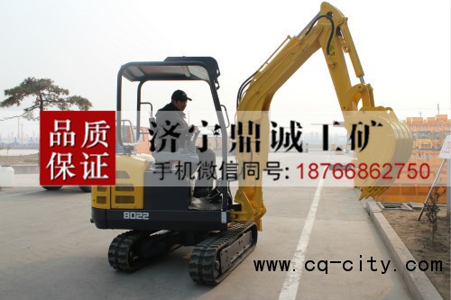 4 22履帶式挖掘機 (2)