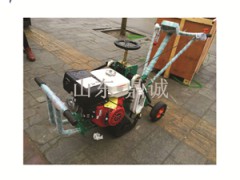 江蘇宿遷草坪塊起草機/四川瀘州起草皮機報價