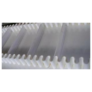 湖南長沙檳榔輸送帶，餅干輸送帶，水果輸送帶