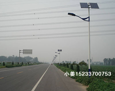 保定6米30瓦太陽能路燈整套最新報價農村亮化