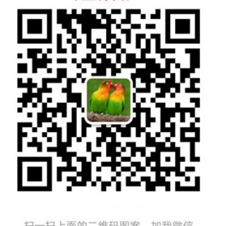 張家口辣椒苗 長尖椒育苗廠