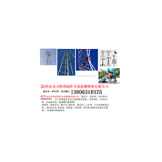 溫州市電力鐵塔制作安裝檢測維修有限公司